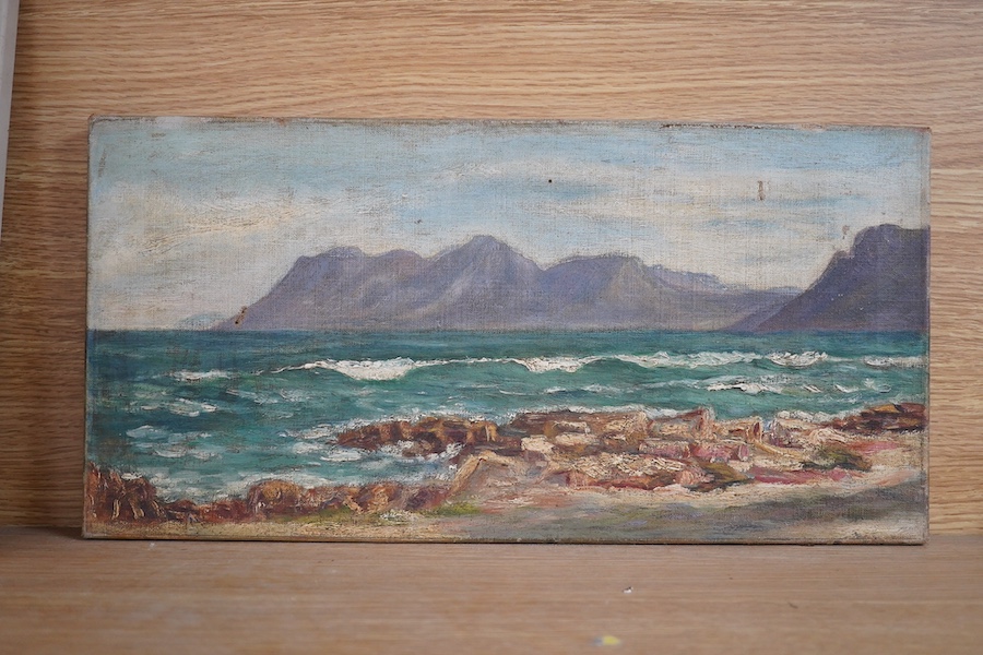 20th century, oil on canvas, Continental coastal scene, 23 x 46cm, unsigned, unframed. Condition - poor to fair, would benefit from a clean